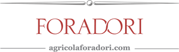 Foradori